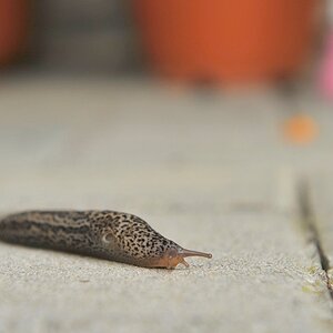 DSC 6108 web crop
