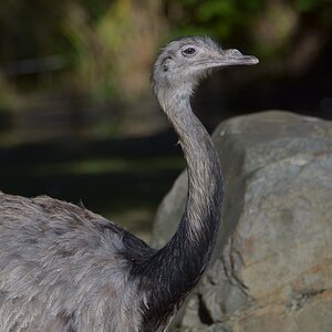 Krefelder Zoo 19 04 12 11