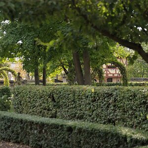 Gärten der Hesperiden 09
Nürnberg