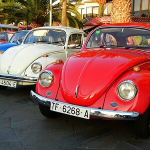 Teneriffa 2012 347