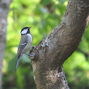 DSC 7534 1000