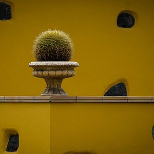 Teneriffa DSC 4469