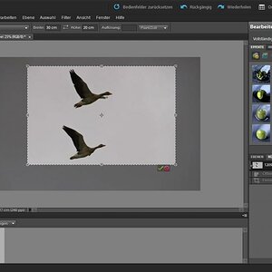 PSE Zuschneiden Screenshot