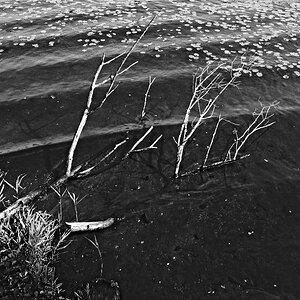 BlnWeg 02 0022 120909 SW 1024