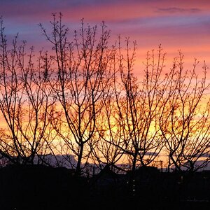 Abendhimmel