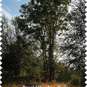 Häuschen Mail