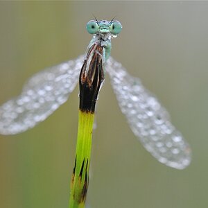 DSC 5413