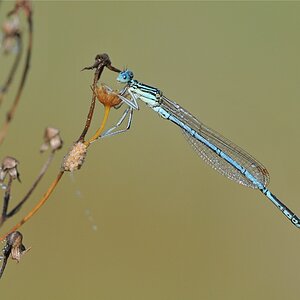 DSC 5452
