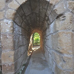 DSC 8413