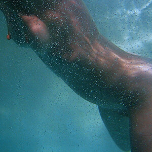 Pool original