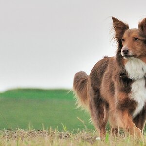 2012 09 15 8849  D300S A
