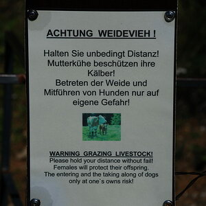 DSC 3905 Bildgröße ändern