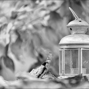 FredyDSC 7314