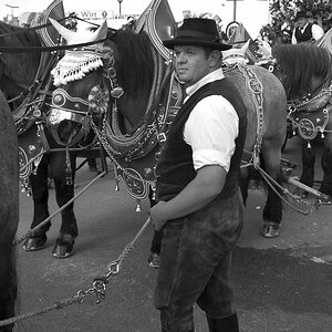Oktoberfest 2012 1013812