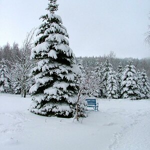 Blaue Bank im Schnee