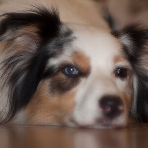 DSC 5308 DC20 F5 6