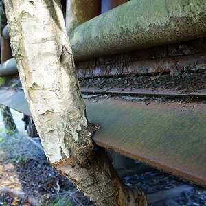 20120930 DSC00039