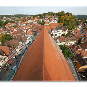 Dach1