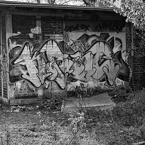SWDSC 0646sw