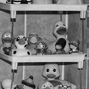 enten