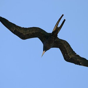 Mexico - DSC 4920 20120803 3165