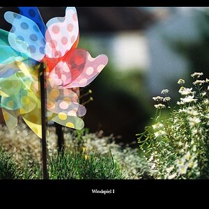 Windspiel.002