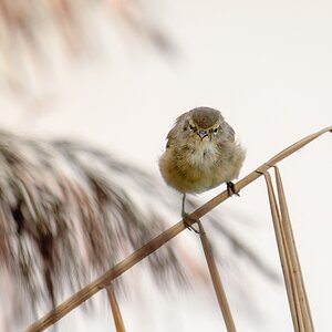 20120901 28732 [NIKON D2Xs] 850 mm,1 250 Sek. bei ƒ   6,3 3