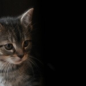NC2012 09 30 9437  D300S A