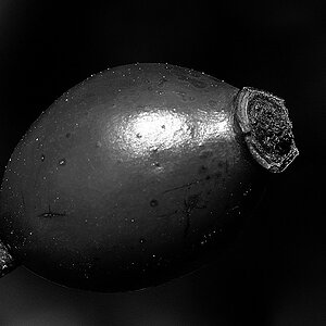 Erntezeit II