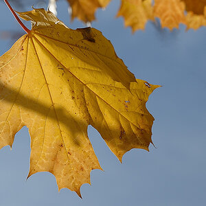 Der Herbst kommt....