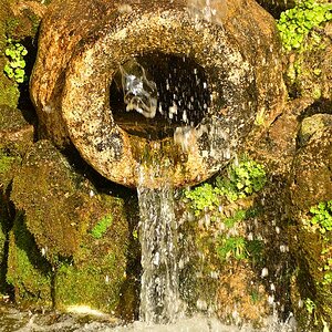 DSC 0998