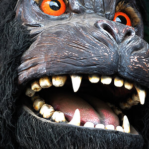 gorilla 1