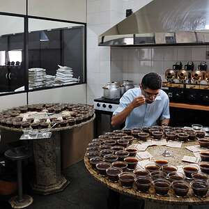 DSC 0277 web