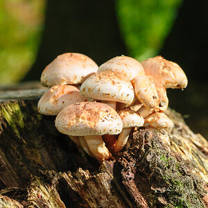 2012 10 14 15 23 31 1
