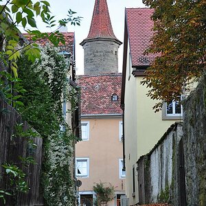 DSC 8528