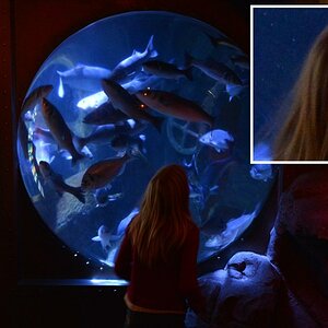 SeaLife