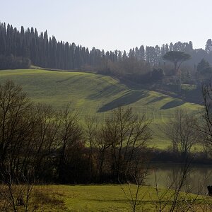 Crete Senesi #28