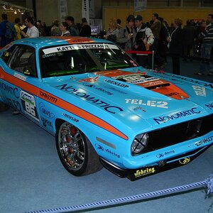 tn DSC 1132