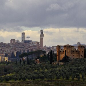 Blick auf Siena
