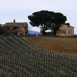 Chianti #3