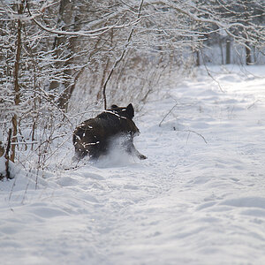 Februar 09