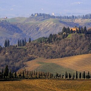Crete Senesi #20