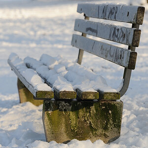 Bank Winter