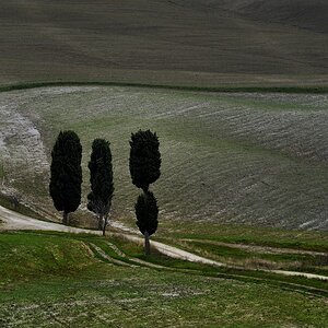 Crete Senesi #29