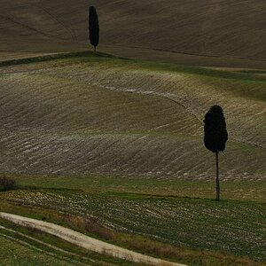 Crete Senesi #30