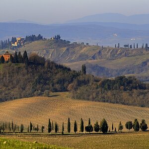Crete Senesi #33