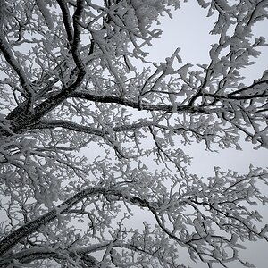 Harz Februar 119cnc
