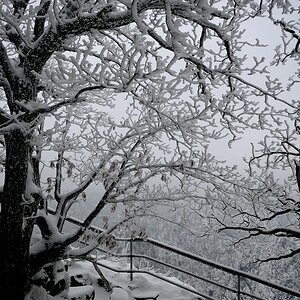 Harz Februar 121cnx