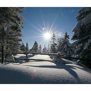 Winterimpression von einer Tour durch den Harz