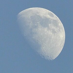 Mond
